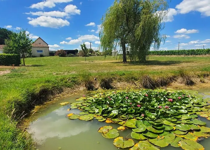 Maison Spacieuse Proche De Saint-emilion 度假居
